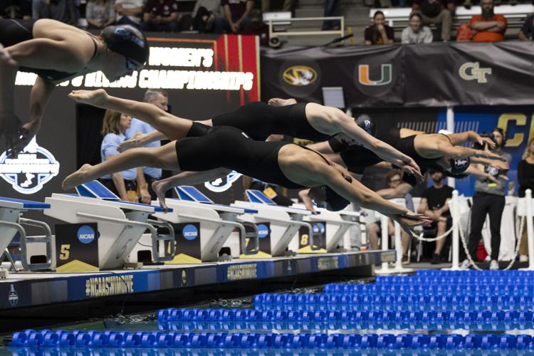 250321_LeahDowning_NCAAWomensSwimDive_88.jpg