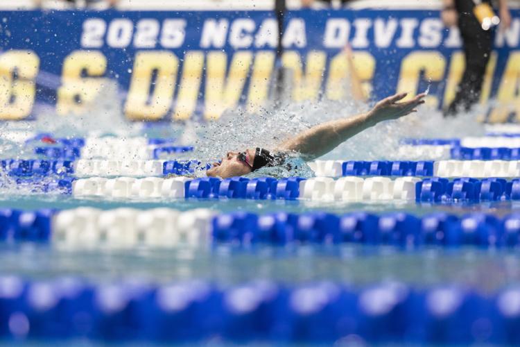 250322_LeahDowning_NCAAWomensSwimDive_135.jpg
