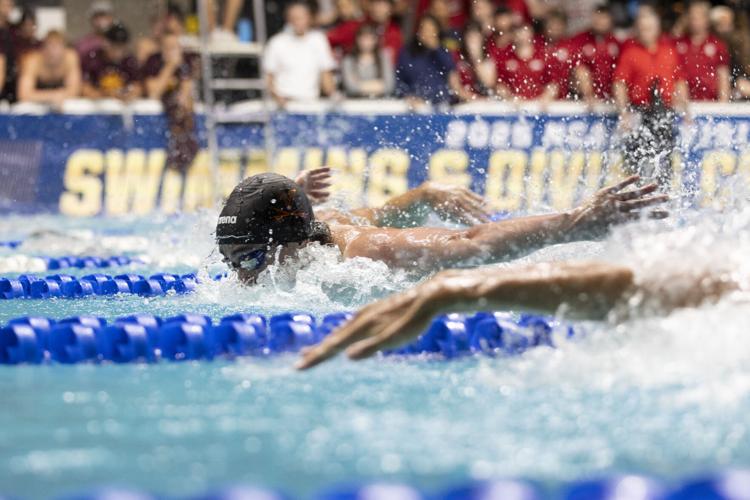 250327_LeahDowning_NCAAMensSwimDive_8.jpg