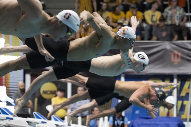 250328_LeahDowning_NCAAMensSwimDive_46.jpg