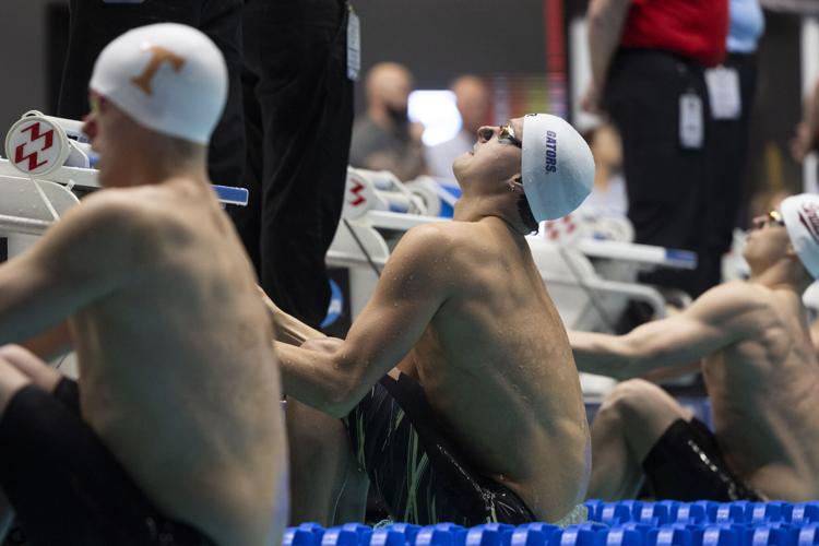 250328_LeahDowning_NCAAMensSwimDive_56.jpg