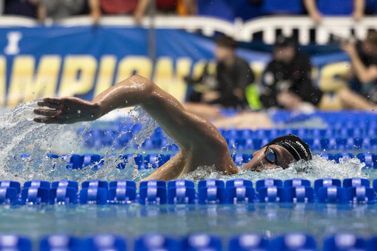 250329_LeahDowning_NCAAMensSwimDive_119 copy.jpg