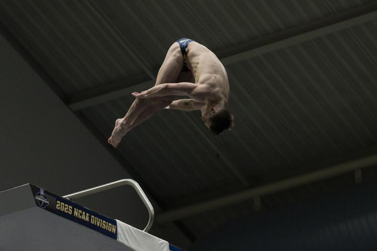 250329_LeahDowning_NCAAMensSwimDive_119.jpg